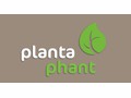 PlantaPhant GmbH