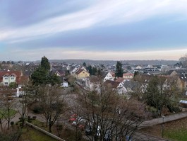 Fernblick