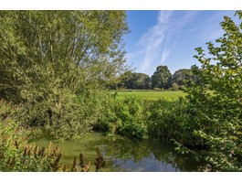 Blick in den Garten 