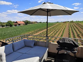 Südbalkon mit Aussicht