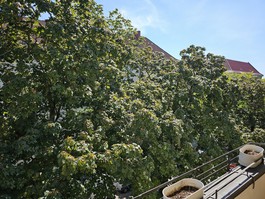 Aussicht vom Balkon