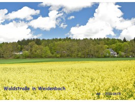 Waldstraße in 56355 Weidenbach