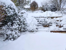 Garten im Winter