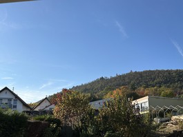 Blick Richtung Pfälzer Wald 