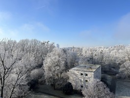 Ausblick