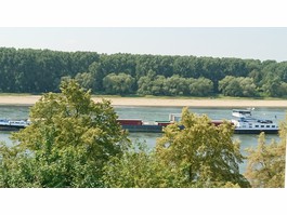 Südblick auf den Rhein