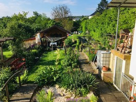 Blick von der Terrasse 