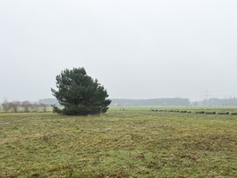 Blick vom Grundstück