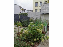 Garten im Sommer