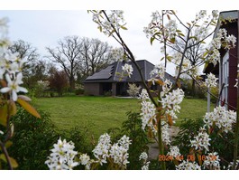 Winkel-Walmdach-Bungalow