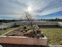 Dachterrase