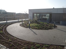 Dachterrasse, Wohnung