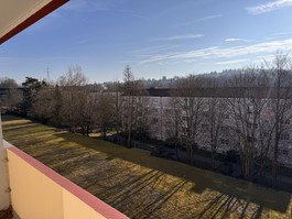 Blick vom Balkon Süden