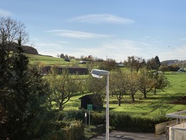 Ausblick in die Natur